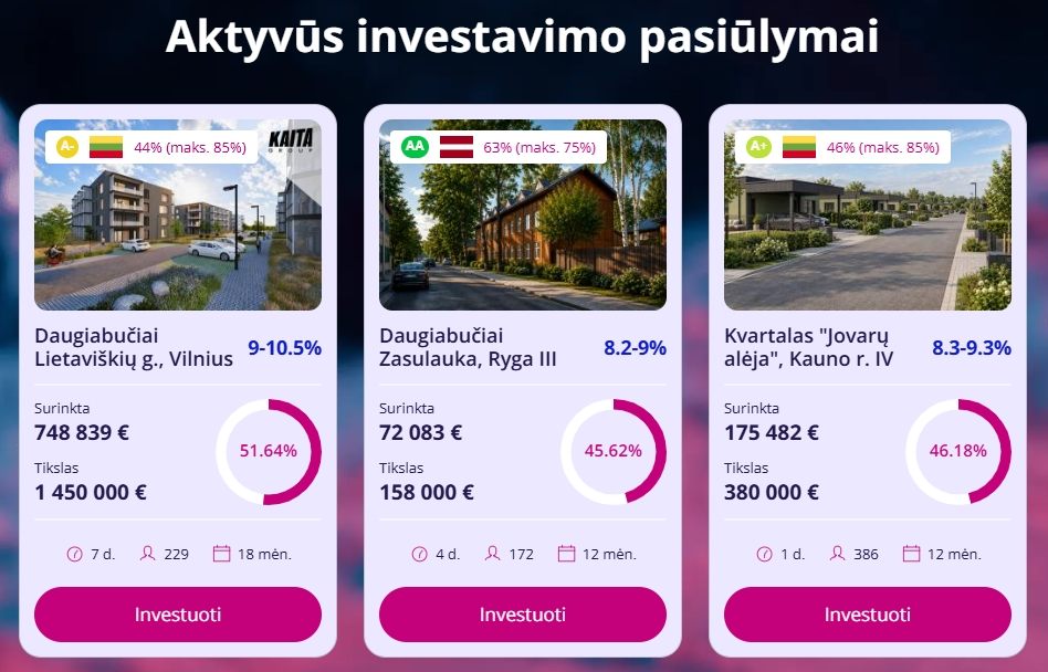 Profitus Atsiliepimai. Siūlomų investicijų pateikimo pavyzdys